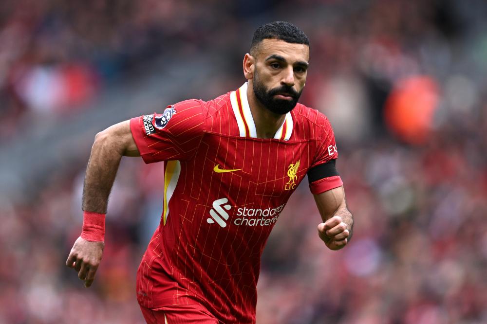 BA联盟树 BA联盟树